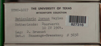 Image Associated With the Occurence